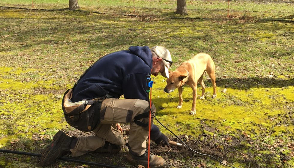 Truffle-Hunting in Northern Tasmania