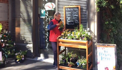 Digging Into the Flower Room’s Roots