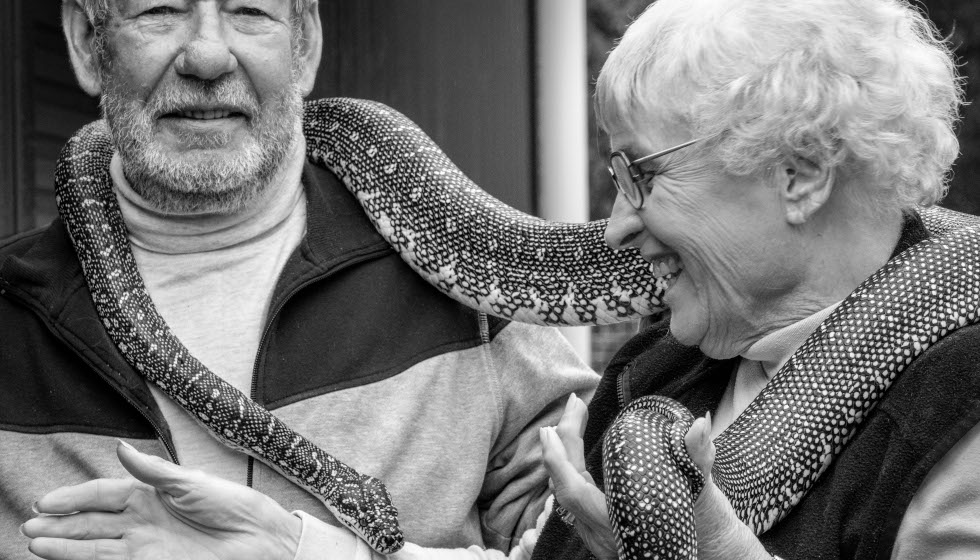 Cool Animal Encounters