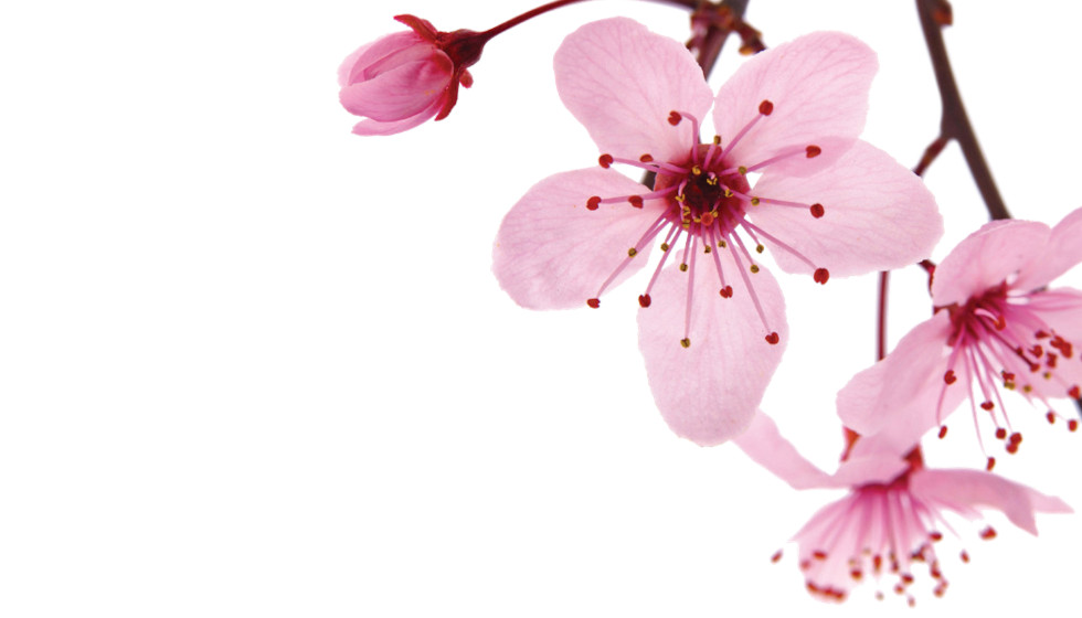 Three Smart Moves To Get Your Home Ready For Spring Selling Season