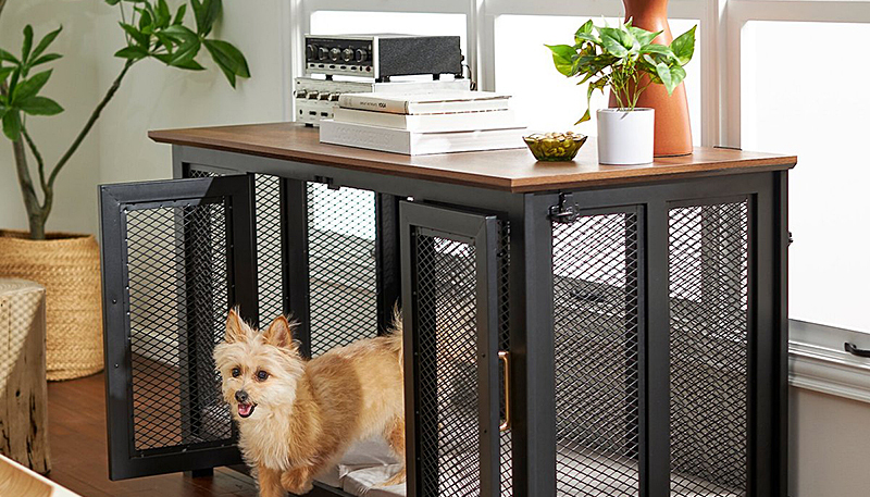 Pet-Friendly and Stylish? It’s Pawsible
