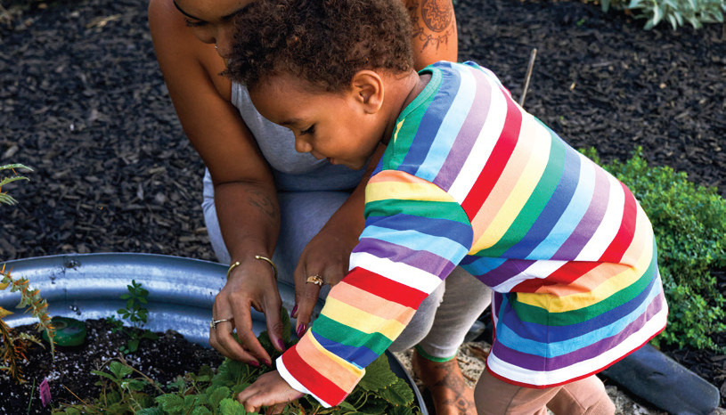 Going Organic In Your Garden