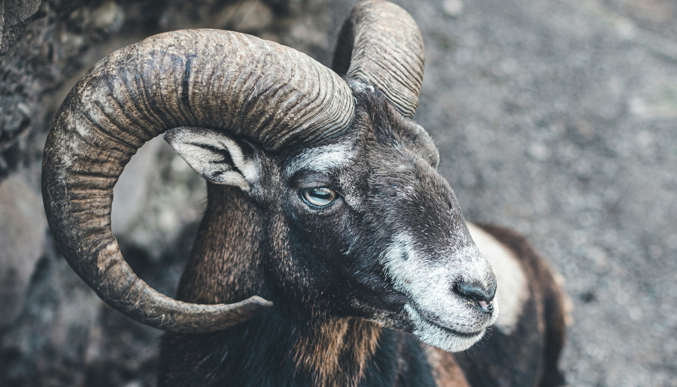 Zodiac Check-In: Your Monthly Astro Update – October 2025