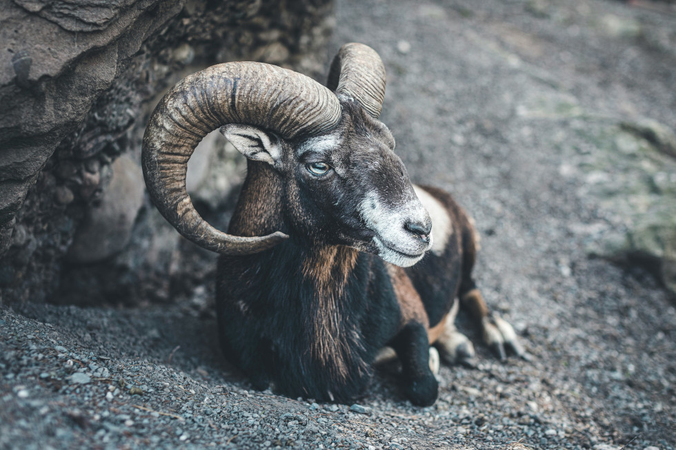 Zodiac Check-In: Your Monthly Astro Update- April 2026