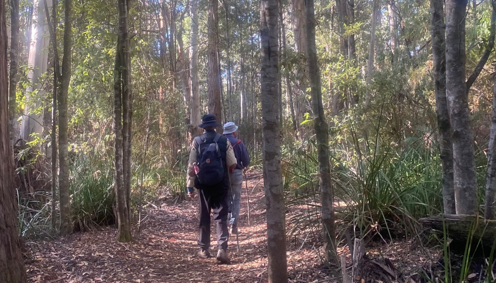North West Bay River Trail From Sandfly