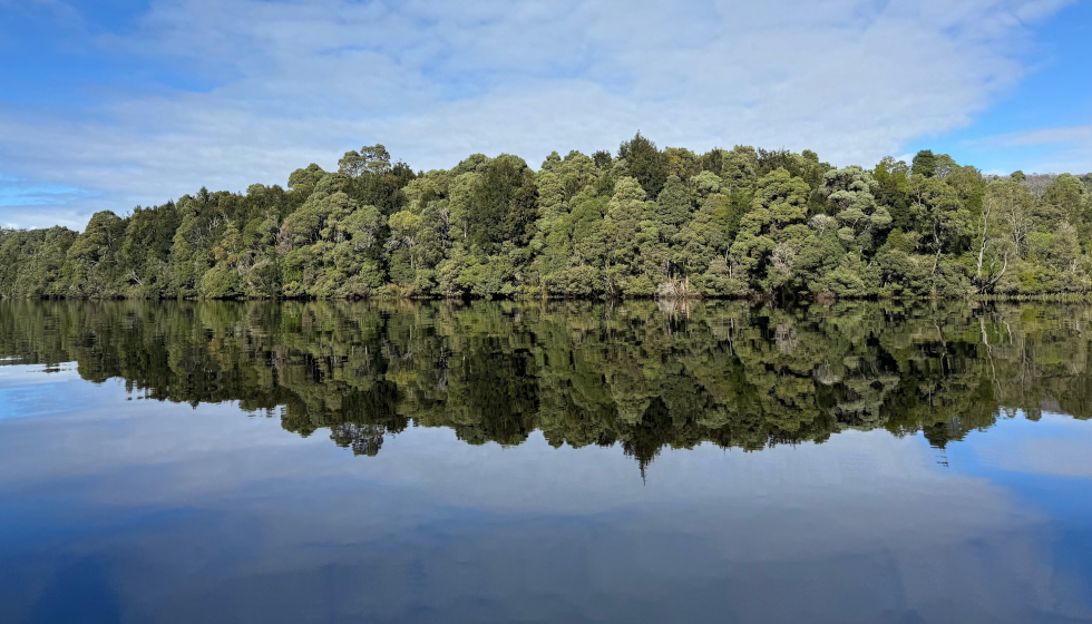 Recharge And Connect At Remote Corinna