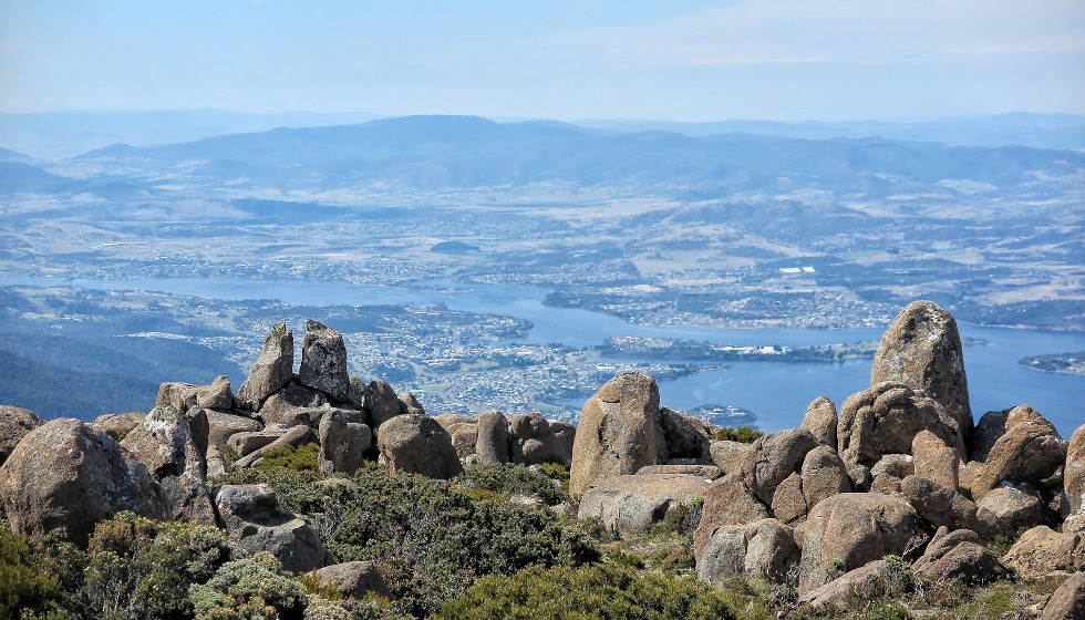 Tassie Market Watch- May 2026