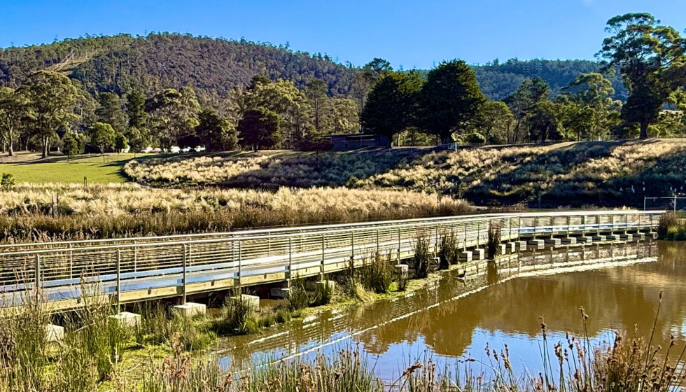 NEWS: A New Way To See Tolosa Park