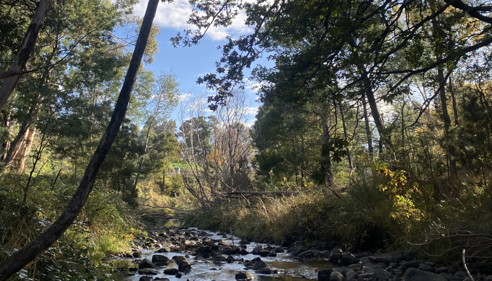 Two Rivers Bicentennial Track